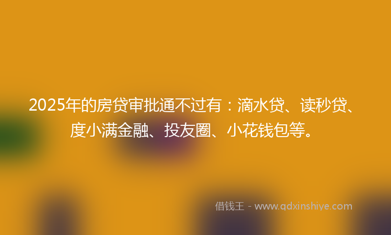 2025年的房贷审批通不过有：滴水贷、读秒贷、度小满金融、投友圈、小花钱包等。