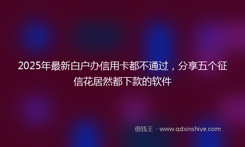 2025年最新白户办信用卡都不通过，分享五个征信花居然都下款的软件