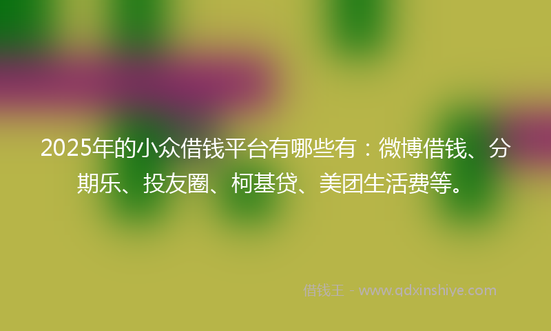 2025年的小众借钱平台有哪些有：微博借钱、分期乐、投友圈、柯基贷、美团生活费等。