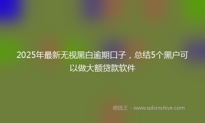 2025年最新无视黑白逾期口子，总结5个黑户可以做大额贷款软件