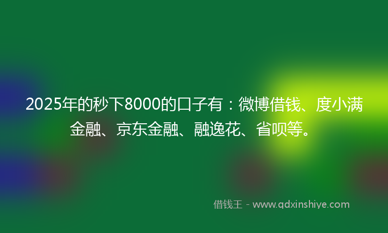 2025年的秒下8000的口子有：微博借钱、度小满金融、京东金融、融逸花、省呗等。
