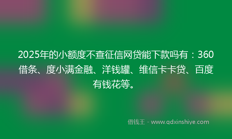 2025年的小额度不查征信网贷能下款吗有：360借条、度小满金融、洋钱罐、维信卡卡贷、百度有钱花等。