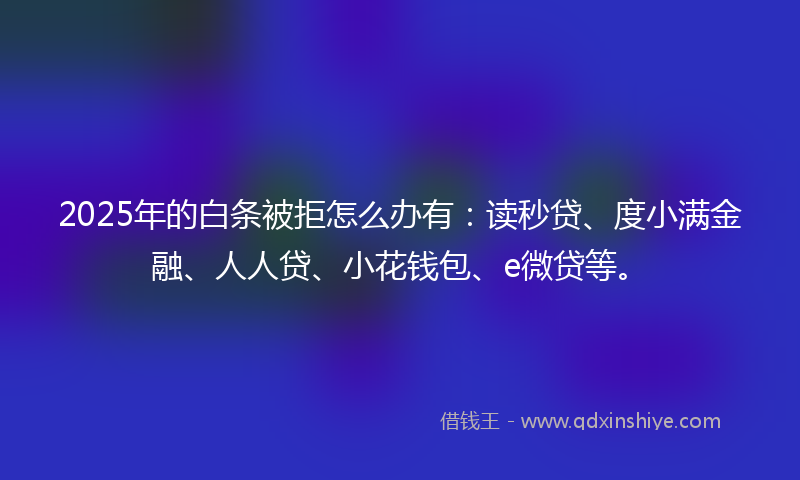 2025年的白条被拒怎么办有：读秒贷、度小满金融、人人贷、小花钱包、e微贷等。