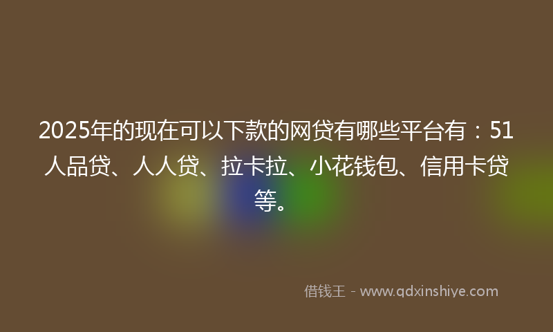 2025年的现在可以下款的网贷有哪些平台有：51人品贷、人人贷、拉卡拉、小花钱包、信用卡贷等。