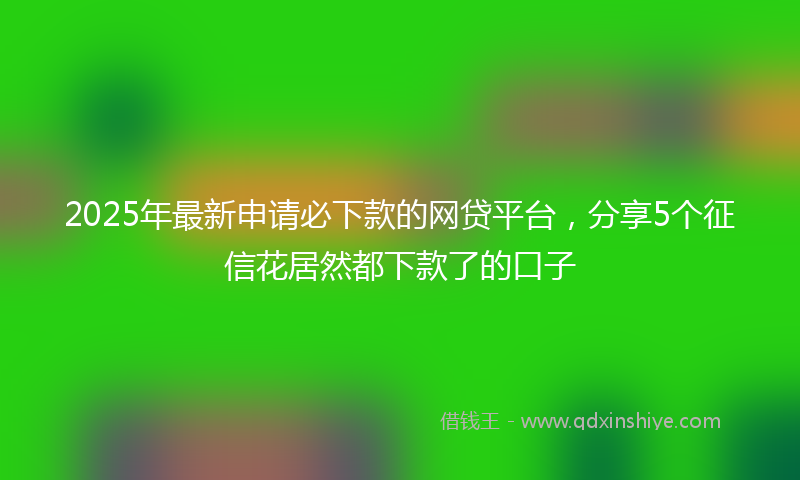 2025年最新申请必下款的网贷平台，分享5个征信花居然都下款了的口子