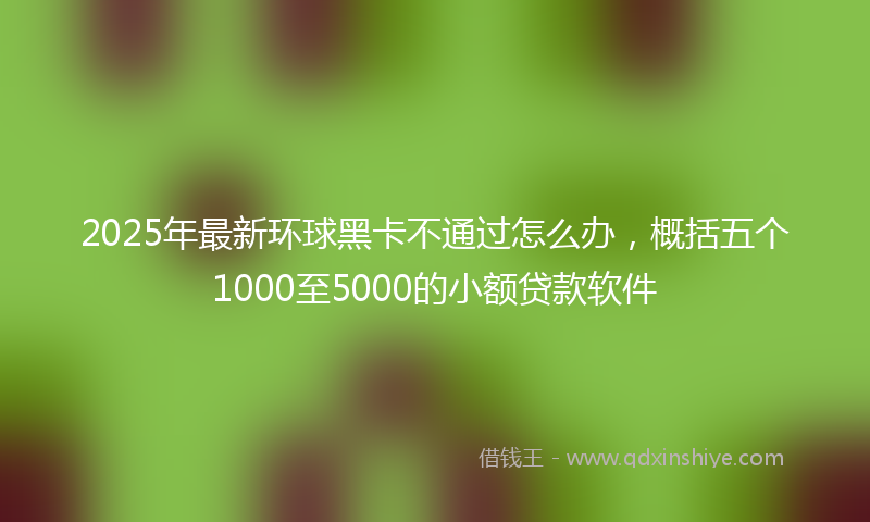 2025年最新环球黑卡不通过怎么办，概括五个1000至5000的小额贷款软件