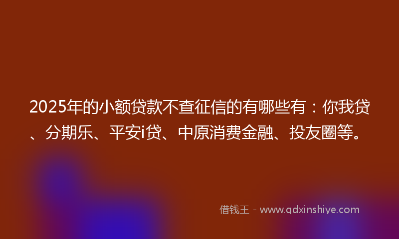 2025年的小额贷款不查征信的有哪些有：你我贷、分期乐、平安i贷、中原消费金融、投友圈等。