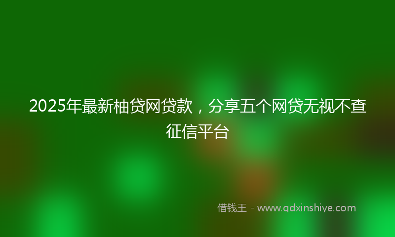 2025年最新柚贷网贷款，分享五个网贷无视不查征信平台