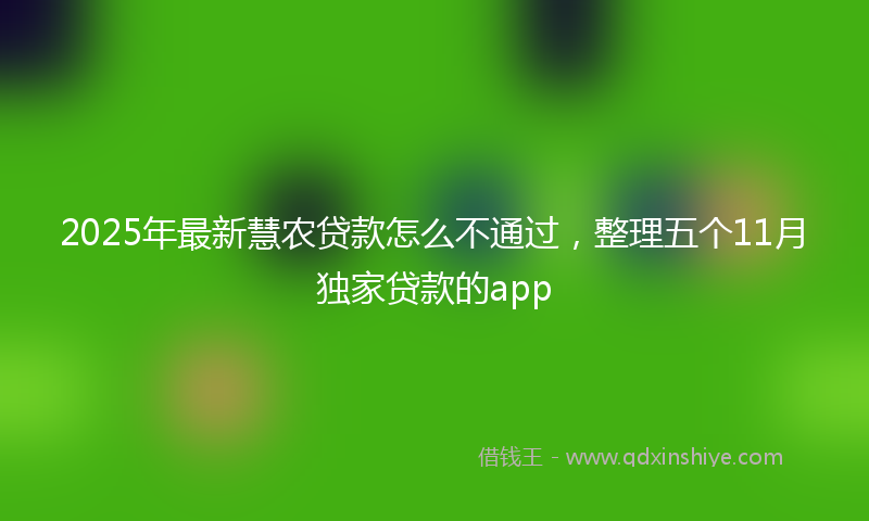 2025年最新慧农贷款怎么不通过，整理五个11月独家贷款的app