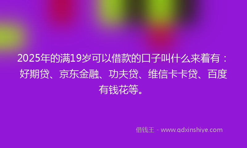 2025年的满19岁可以借款的口子叫什么来着有：好期贷、京东金融、功夫贷、维信卡卡贷、百度有钱花等。