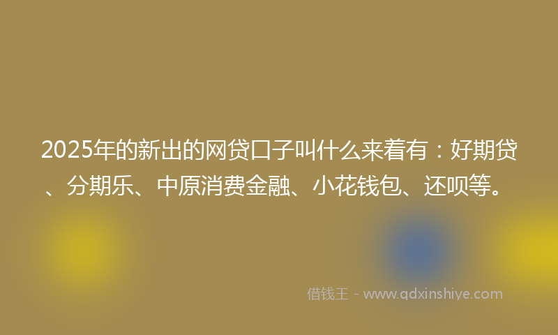 2025年的新出的网贷口子叫什么来着有：好期贷、分期乐、中原消费金融、小花钱包、还呗等。
