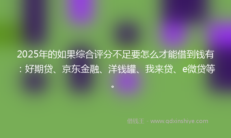 2025年的如果综合评分不足要怎么才能借到钱有：好期贷、京东金融、洋钱罐、我来贷、e微贷等。