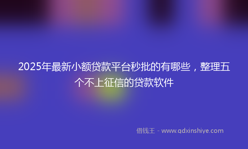 2025年最新小额贷款平台秒批的有哪些，整理五个不上征信的贷款软件