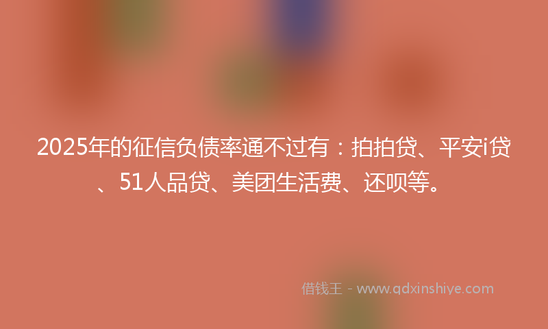 2025年的征信负债率通不过有：拍拍贷、平安i贷、51人品贷、美团生活费、还呗等。