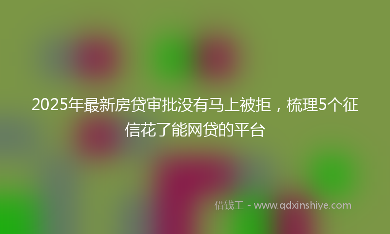 2025年最新房贷审批没有马上被拒，梳理5个征信花了能网贷的平台
