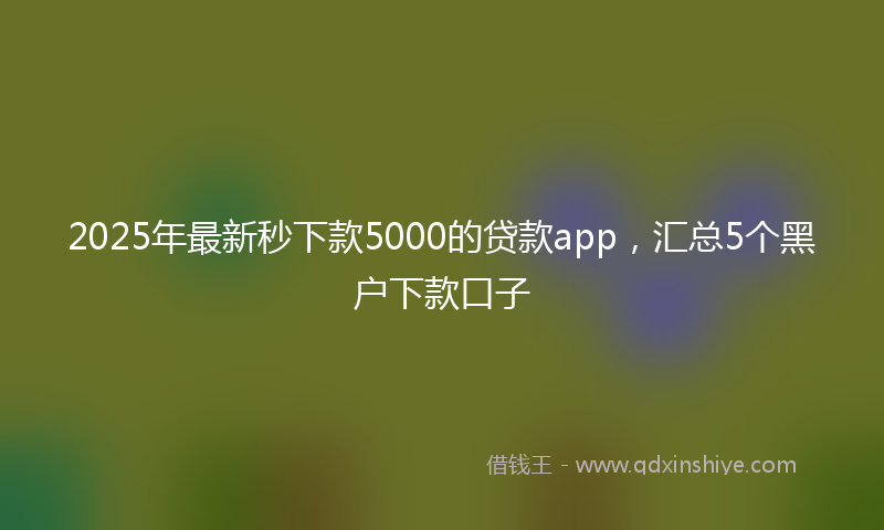 2025年最新秒下款5000的贷款app，汇总5个黑户下款口子