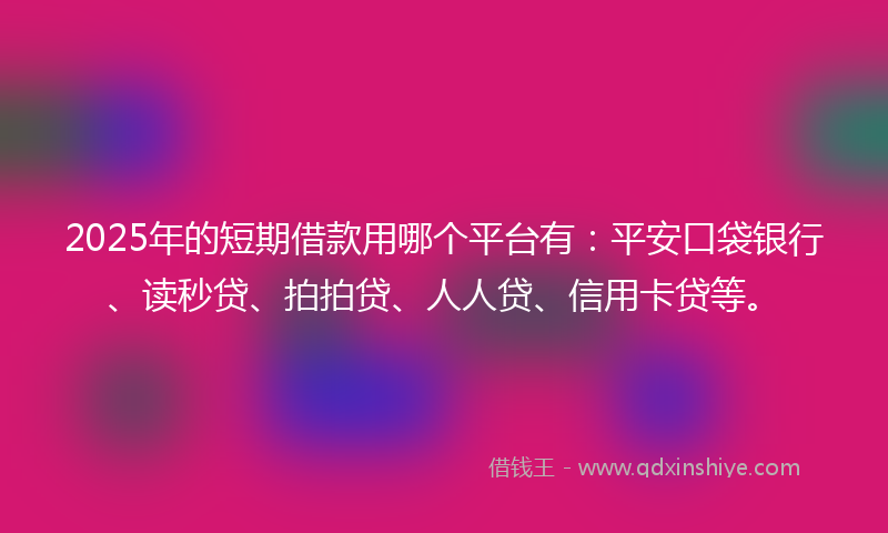 2025年的短期借款用哪个平台有：平安口袋银行、读秒贷、拍拍贷、人人贷、信用卡贷等。