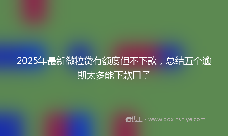 2025年最新微粒贷有额度但不下款，总结五个逾期太多能下款口子