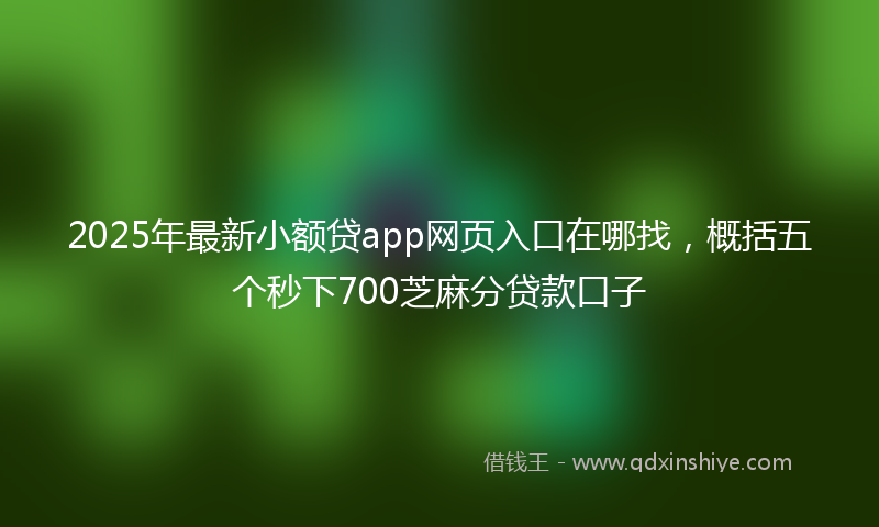 2025年最新小额贷app网页入口在哪找，概括五个秒下700芝麻分贷款口子