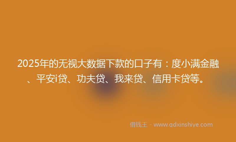 2025年的无视大数据下款的口子有：度小满金融、平安i贷、功夫贷、我来贷、信用卡贷等。