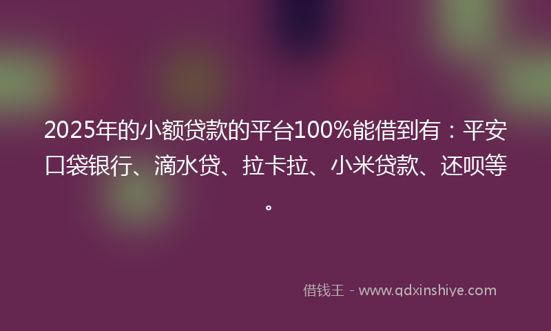 2025年的小额贷款的平台100%能借到有：平安口袋银行、滴水贷、拉卡拉、小米贷款、还呗等。