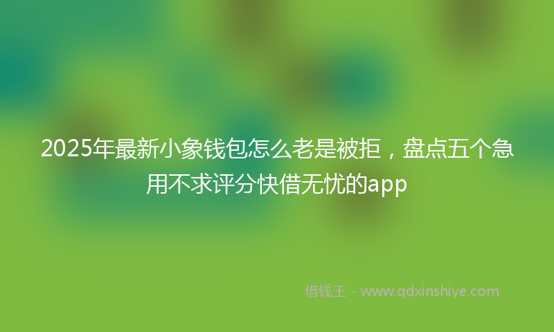 2025年最新小象钱包怎么老是被拒，盘点五个急用不求评分快借无忧的app