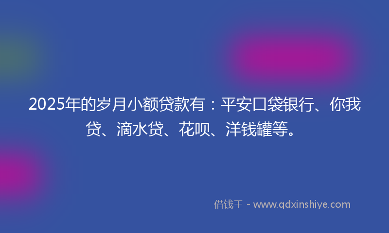 2025年的岁月小额贷款有：平安口袋银行、你我贷、滴水贷、花呗、洋钱罐等。