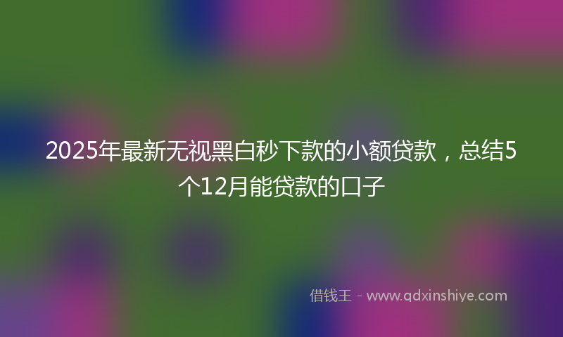 2025年最新无视黑白秒下款的小额贷款，总结5个12月能贷款的口子