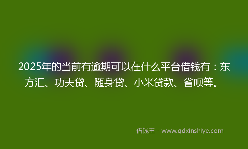 2025年的当前有逾期可以在什么平台借钱有：东方汇、功夫贷、随身贷、小米贷款、省呗等。