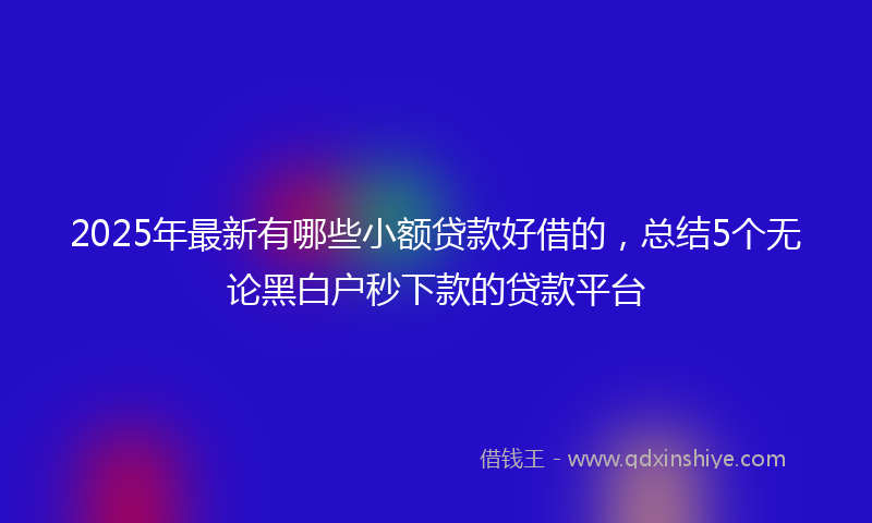 2025年最新有哪些小额贷款好借的，总结5个无论黑白户秒下款的贷款平台