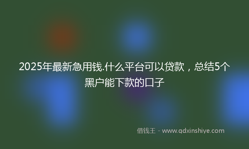 2025年最新急用钱.什么平台可以贷款，总结5个黑户能下款的口子
