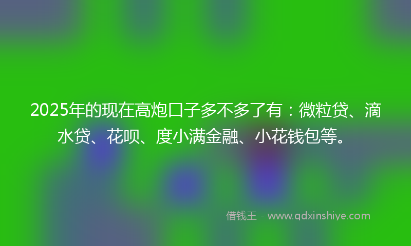 2025年的现在高炮口子多不多了有：微粒贷、滴水贷、花呗、度小满金融、小花钱包等。