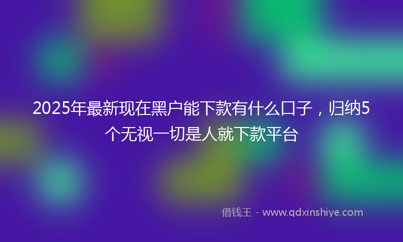 2025年最新现在黑户能下款有什么口子，归纳5个无视一切是人就下款平台