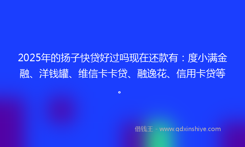 2025年的扬子快贷好过吗现在还款有：度小满金融、洋钱罐、维信卡卡贷、融逸花、信用卡贷等。