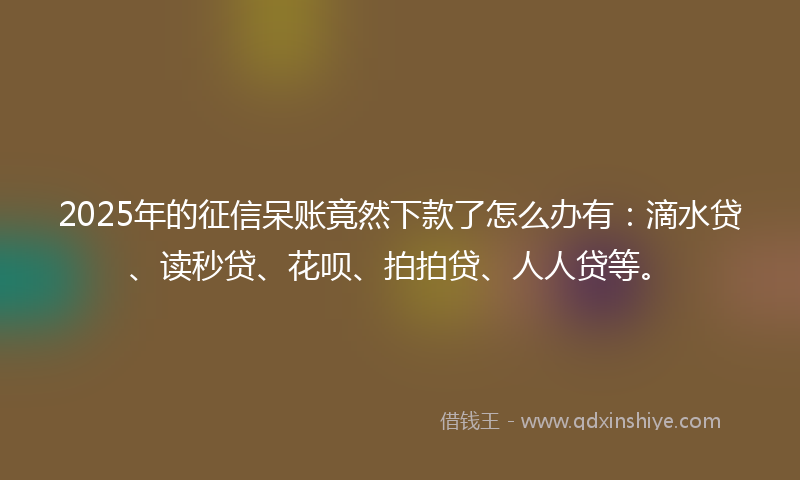 2025年的征信呆账竟然下款了怎么办有：滴水贷、读秒贷、花呗、拍拍贷、人人贷等。