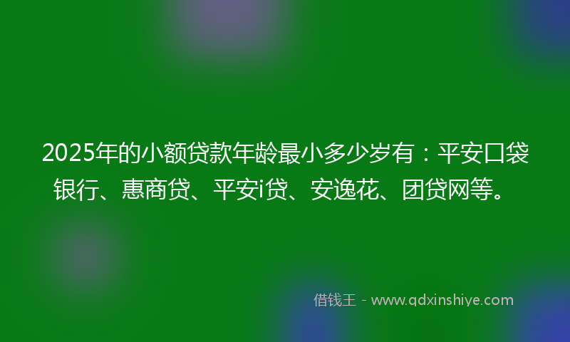 2025年的小额贷款年龄最小多少岁有：平安口袋银行、惠商贷、平安i贷、安逸花、团贷网等。