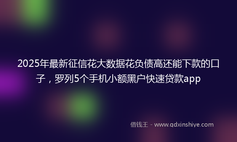 2025年最新征信花大数据花负债高还能下款的口子，罗列5个手机小额黑户快速贷款app