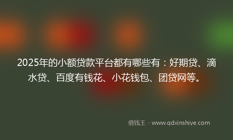 2025年的小额贷款平台都有哪些有：好期贷、滴水贷、百度有钱花、小花钱包、团贷网等。