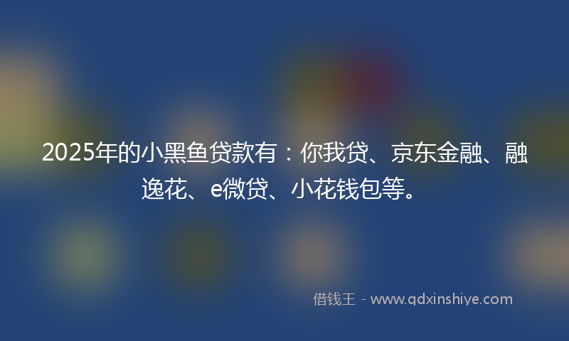 2025年的小黑鱼贷款有：你我贷、京东金融、融逸花、e微贷、小花钱包等。