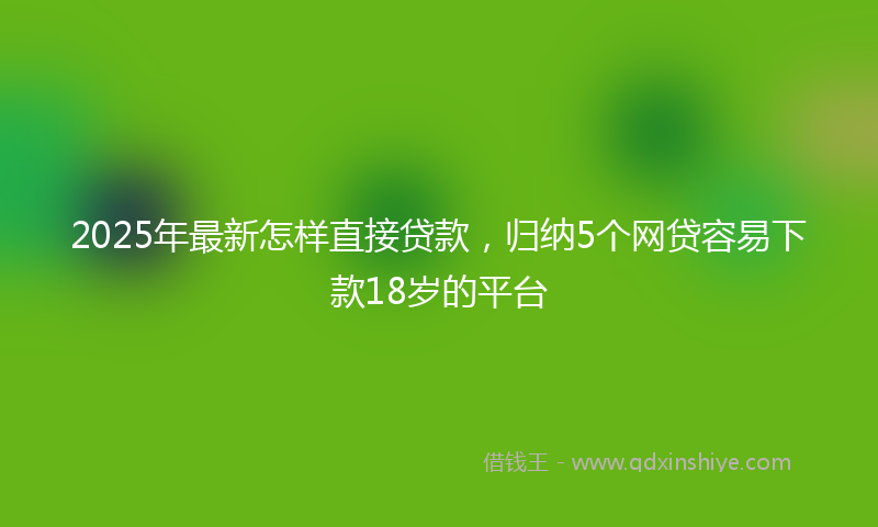 2025年最新怎样直接贷款，归纳5个网贷容易下款18岁的平台