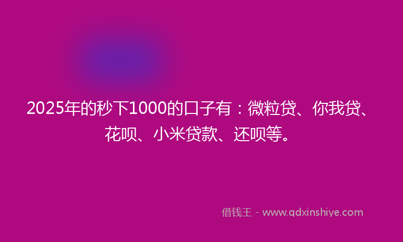 2025年的秒下1000的口子有：微粒贷、你我贷、花呗、小米贷款、还呗等。