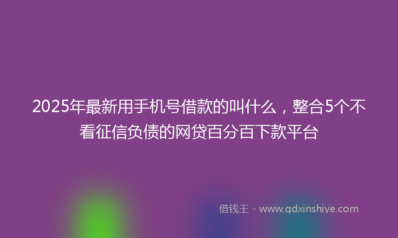 2025年最新用手机号借款的叫什么，整合5个不看征信负债的网贷百分百下款平台