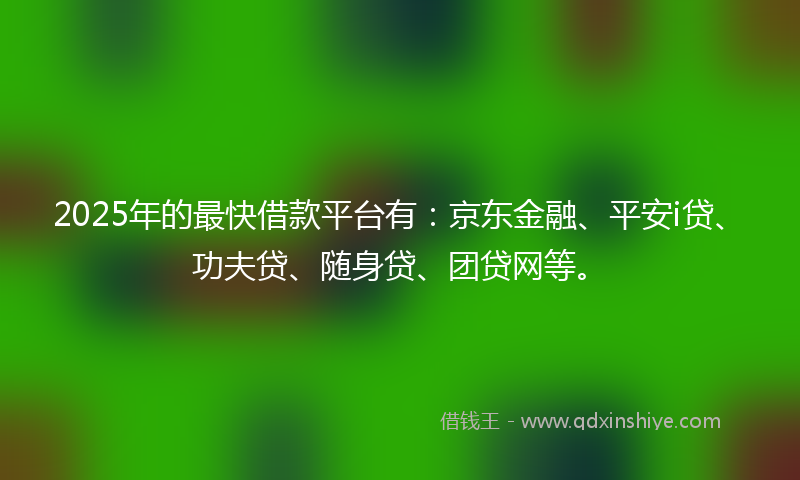 2025年的最快借款平台有：京东金融、平安i贷、功夫贷、随身贷、团贷网等。