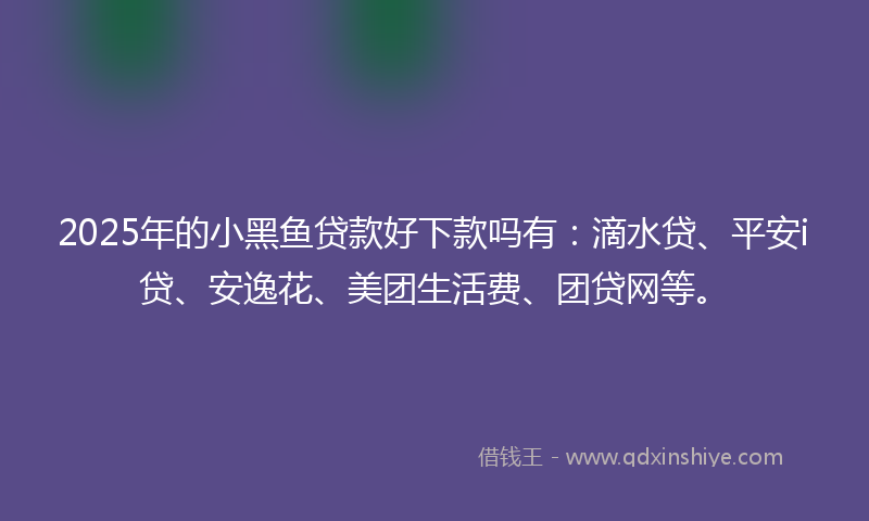 2025年的小黑鱼贷款好下款吗有：滴水贷、平安i贷、安逸花、美团生活费、团贷网等。