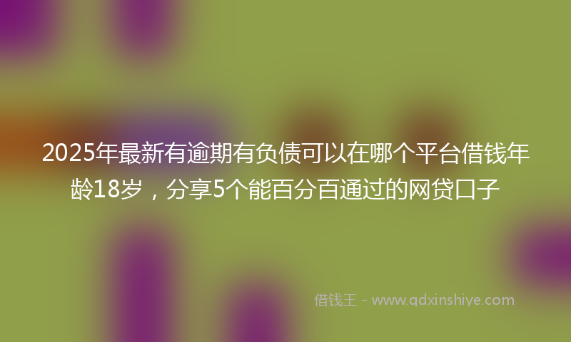 2025年最新有逾期有负债可以在哪个平台借钱年龄18岁，分享5个能百分百通过的网贷口子