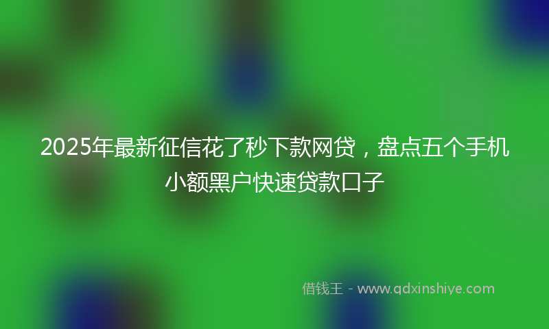 2025年最新征信花了秒下款网贷，盘点五个手机小额黑户快速贷款口子