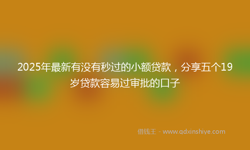 2025年最新有没有秒过的小额贷款，分享五个19岁贷款容易过审批的口子