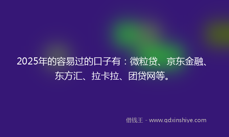 2025年的容易过的口子有：微粒贷、京东金融、东方汇、拉卡拉、团贷网等。