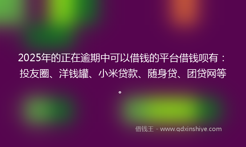 2025年的正在逾期中可以借钱的平台借钱呗有：投友圈、洋钱罐、小米贷款、随身贷、团贷网等。
