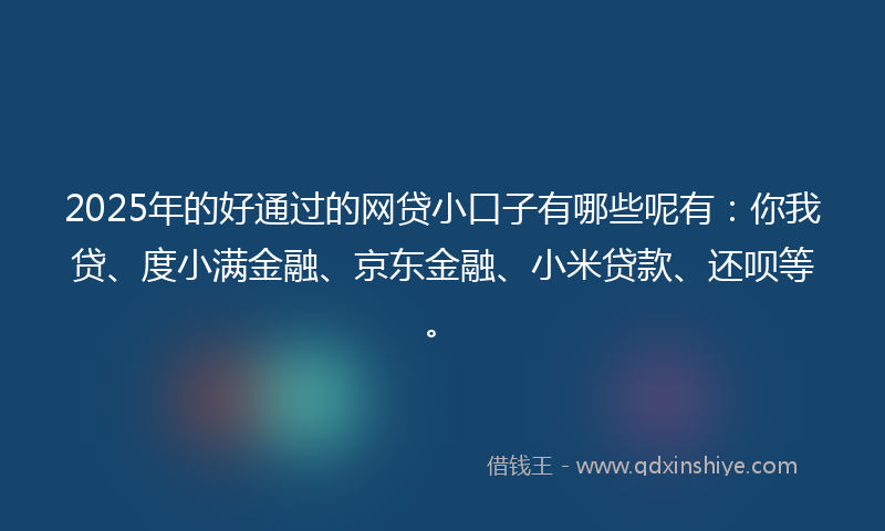 2025年的好通过的网贷小口子有哪些呢有：你我贷、度小满金融、京东金融、小米贷款、还呗等。